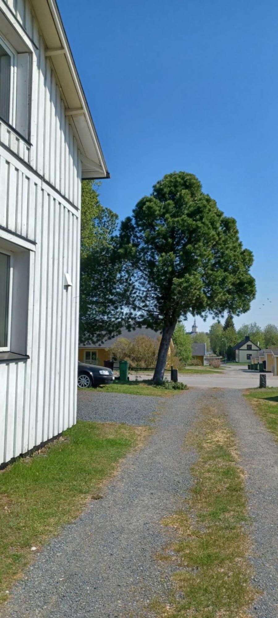 Vita Villan Haparanda  Exteriör bild